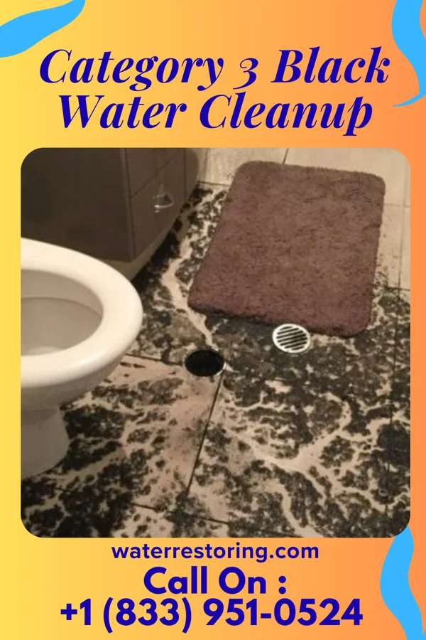 Category 3 Black Water Cleanup in Resaca, GA