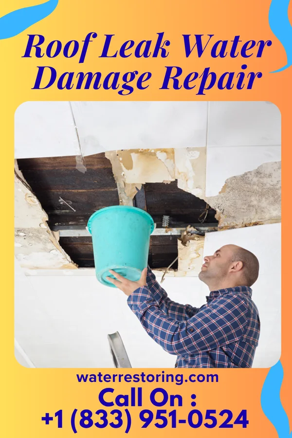 Roof Leak Water Damage Repair in Resaca, GA