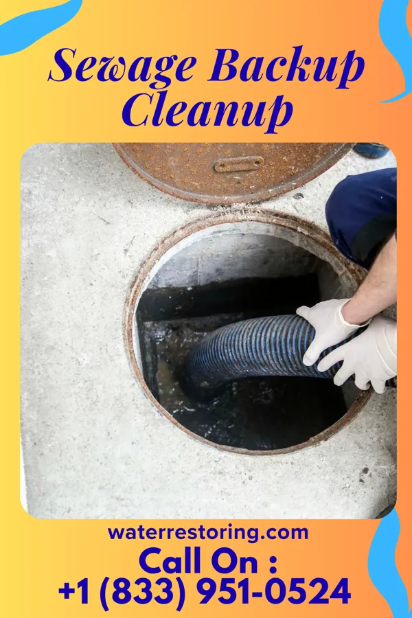 Sewage Backup Cleanup in Resaca, GA